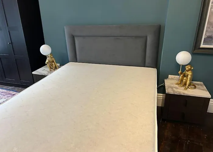 Patrick Street Townhouse 아파트 *